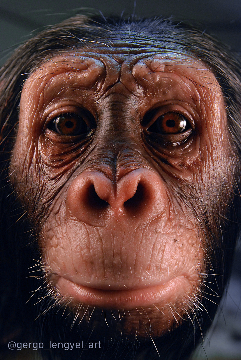 The Journey Behind Creating the Alien Creature with Freelance ...