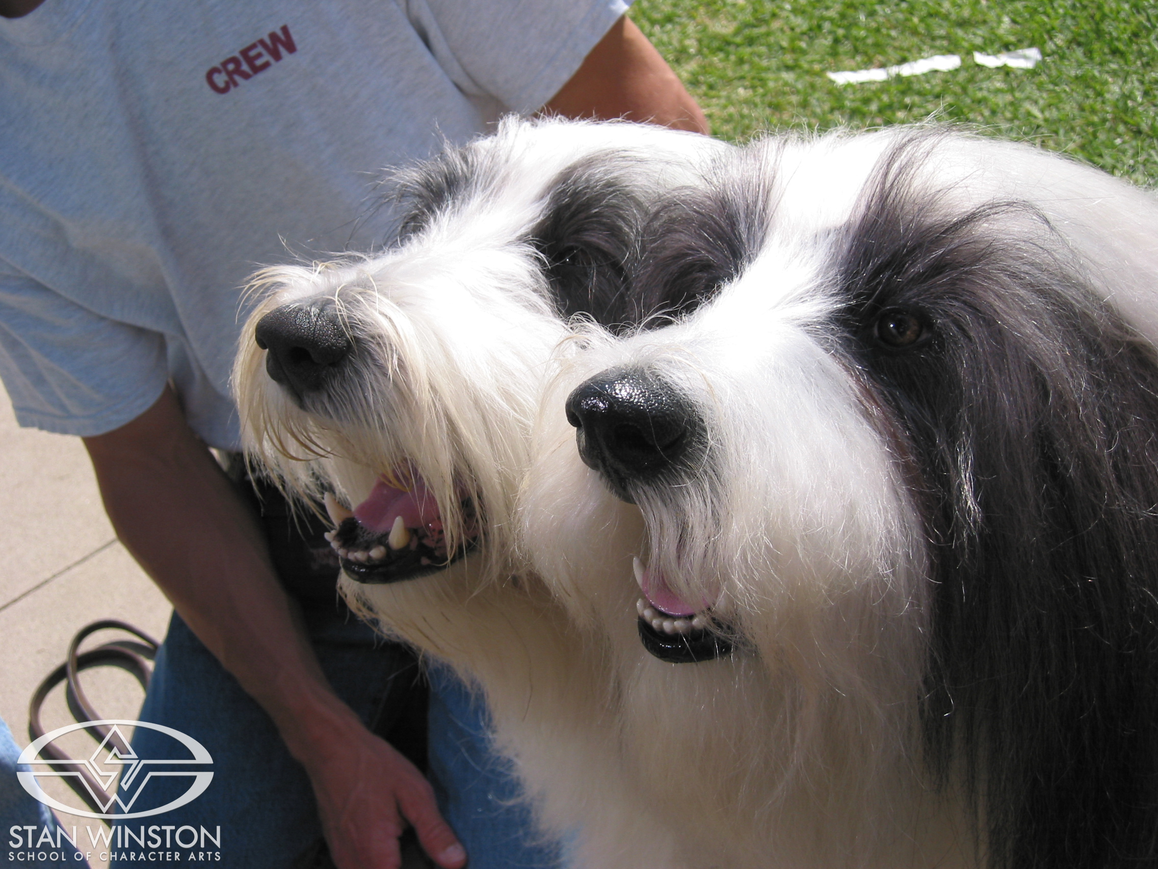 Explore the enchanting world of animatronics and the creation of a