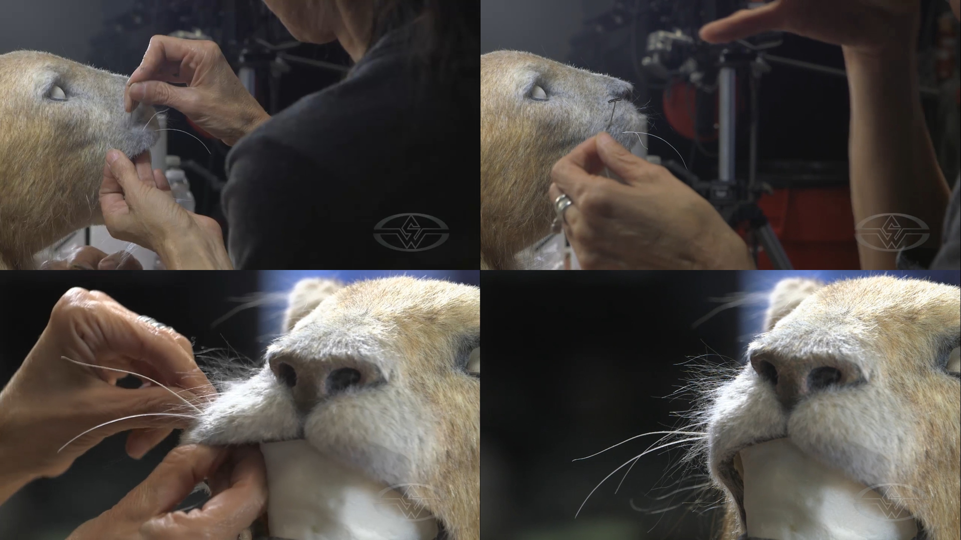 Another look at how to attach a whisker to your animal animatronic.