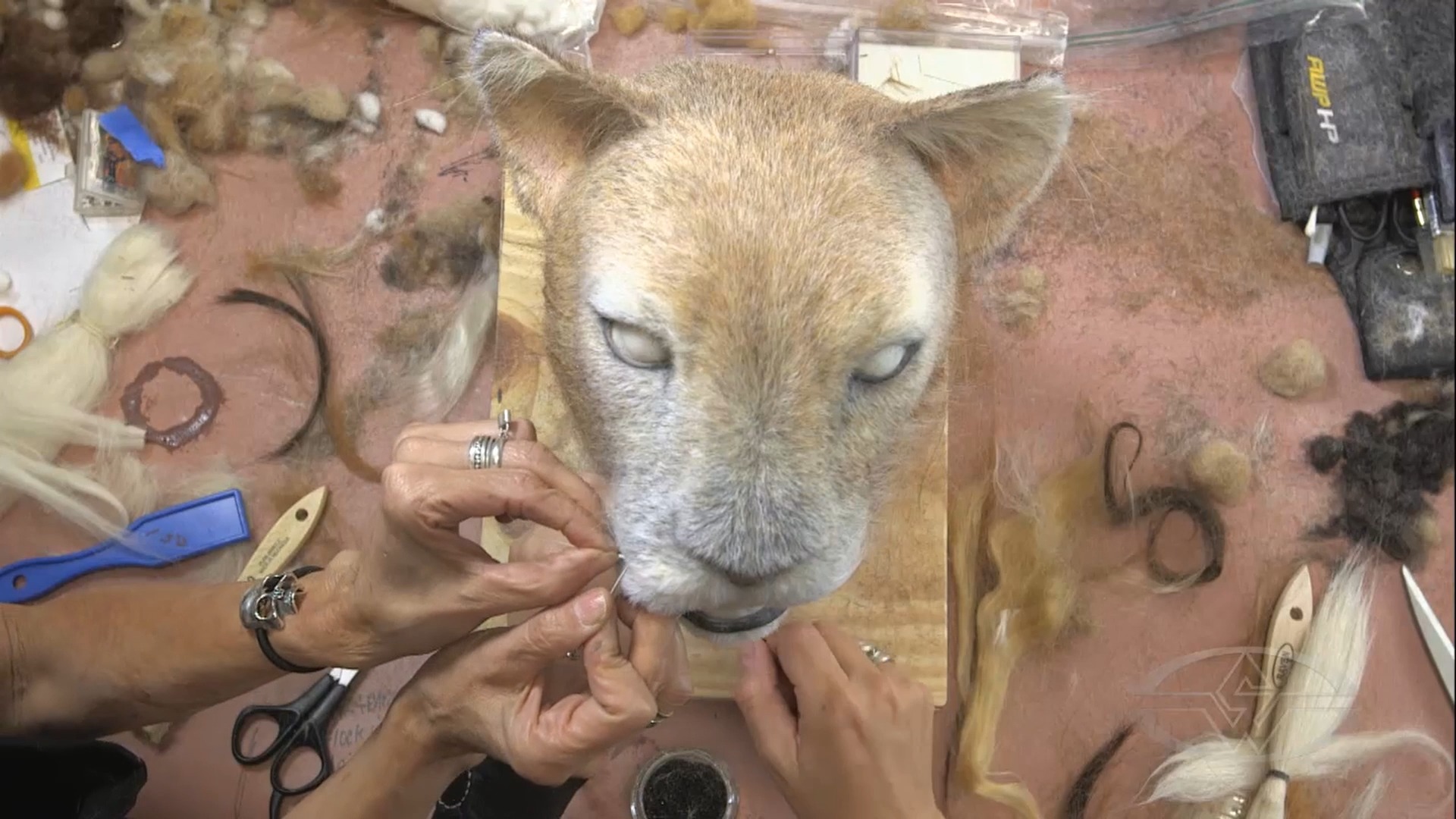 Deborah Galvez decides where her&nbsp;whiskers&nbsp;will go and pokes a hole using a T-pin so she&nbsp;can insert them one by one.