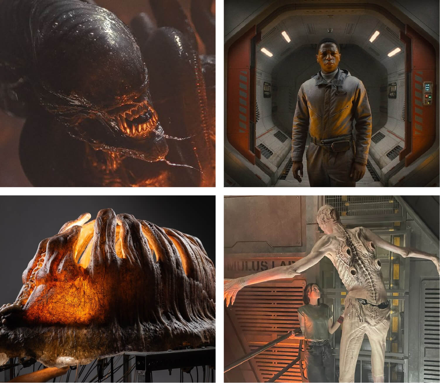 Alien: Romulus. Images via 20th Century Studios/Legacy EFX