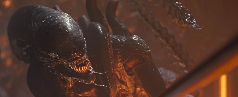 The xenomorph hunts&nbsp;the scavengers. Image courtesy 20th Century Studios.