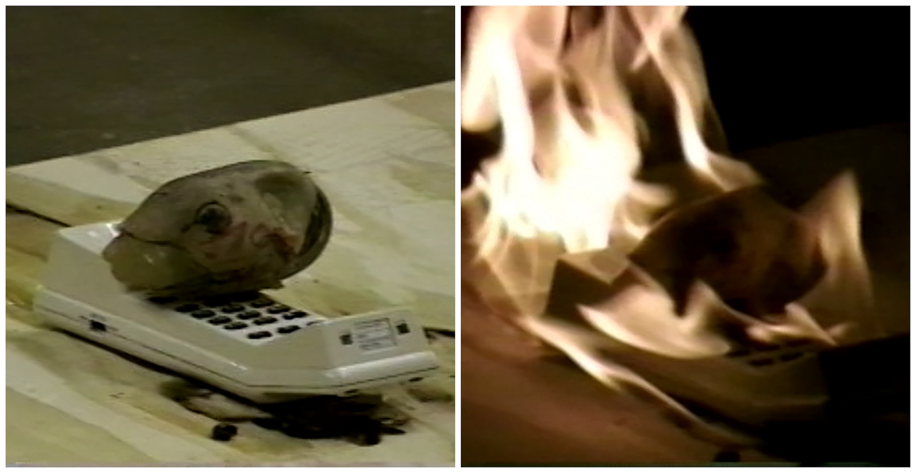 Zog smashes phone at Stan Winston Studio