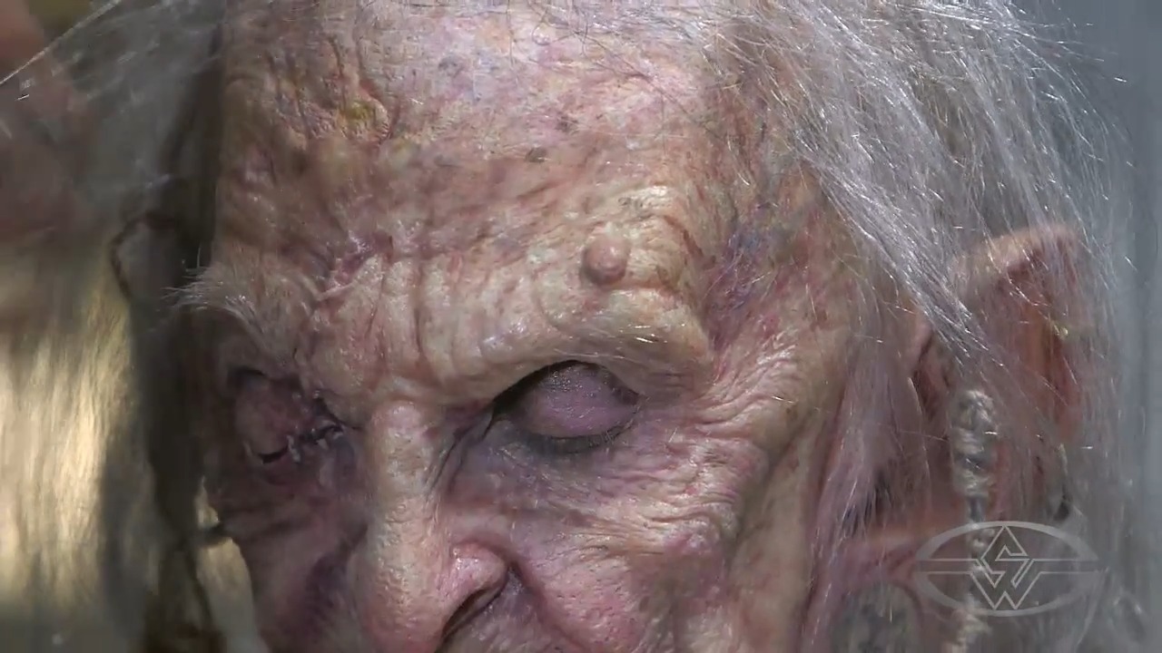 The Hag's&nbsp;stunningly sparse set of brows