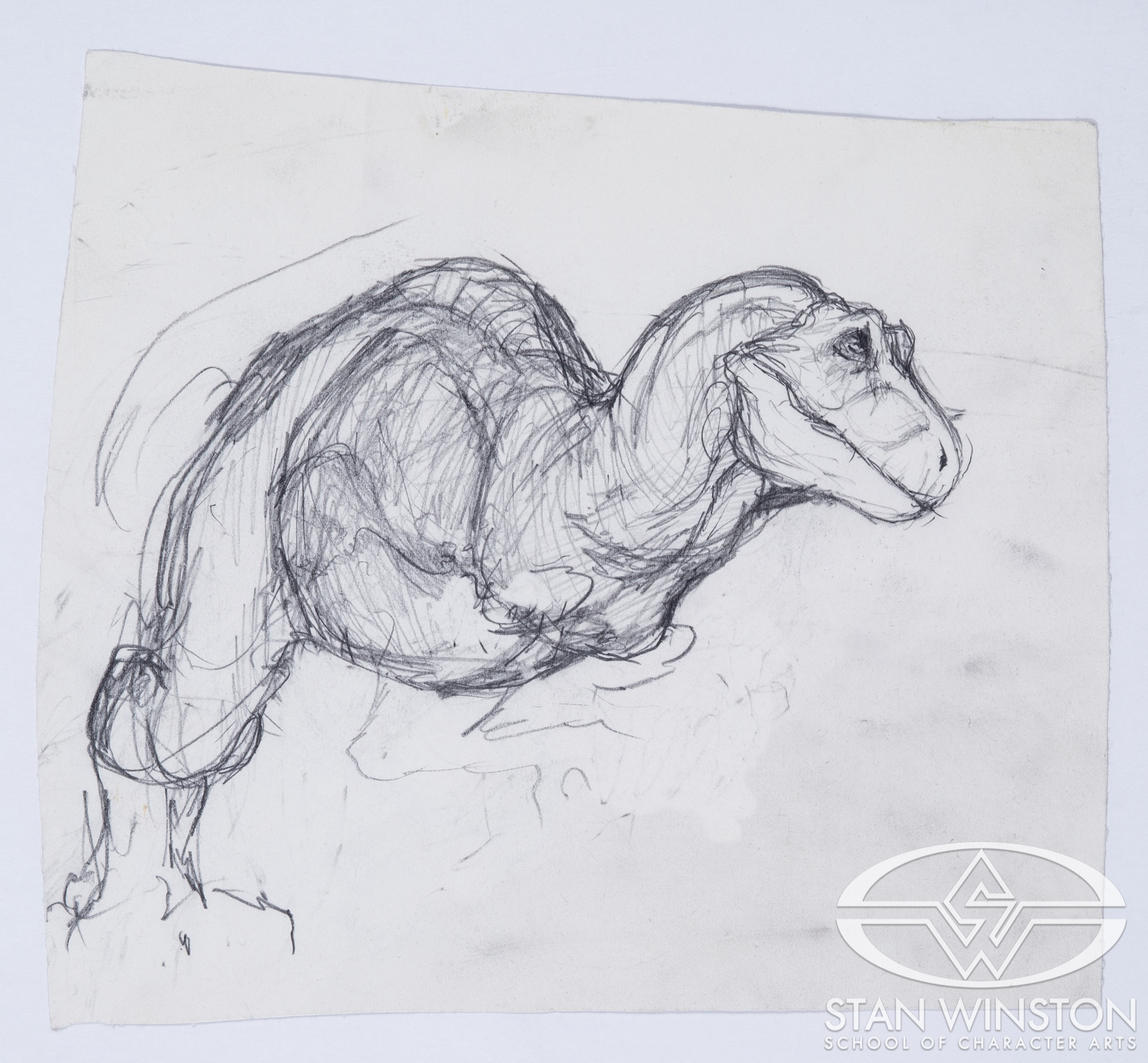 Sketch of the male T-Rex by Mark 'Crash' McCreery.