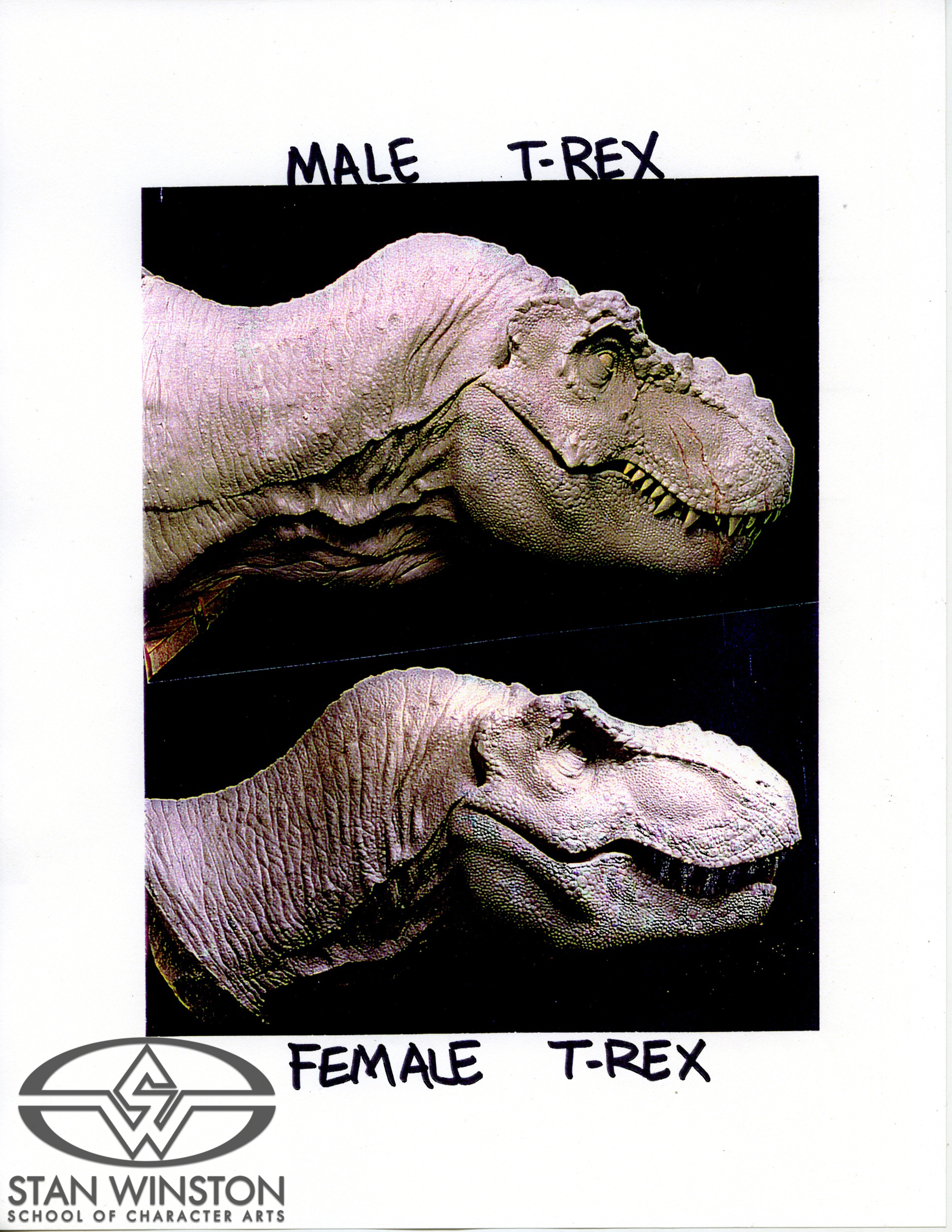 Side views of the male and female T-Rex models built by Stan Winston Studio, showcasing the differences between the two dinosaurs.