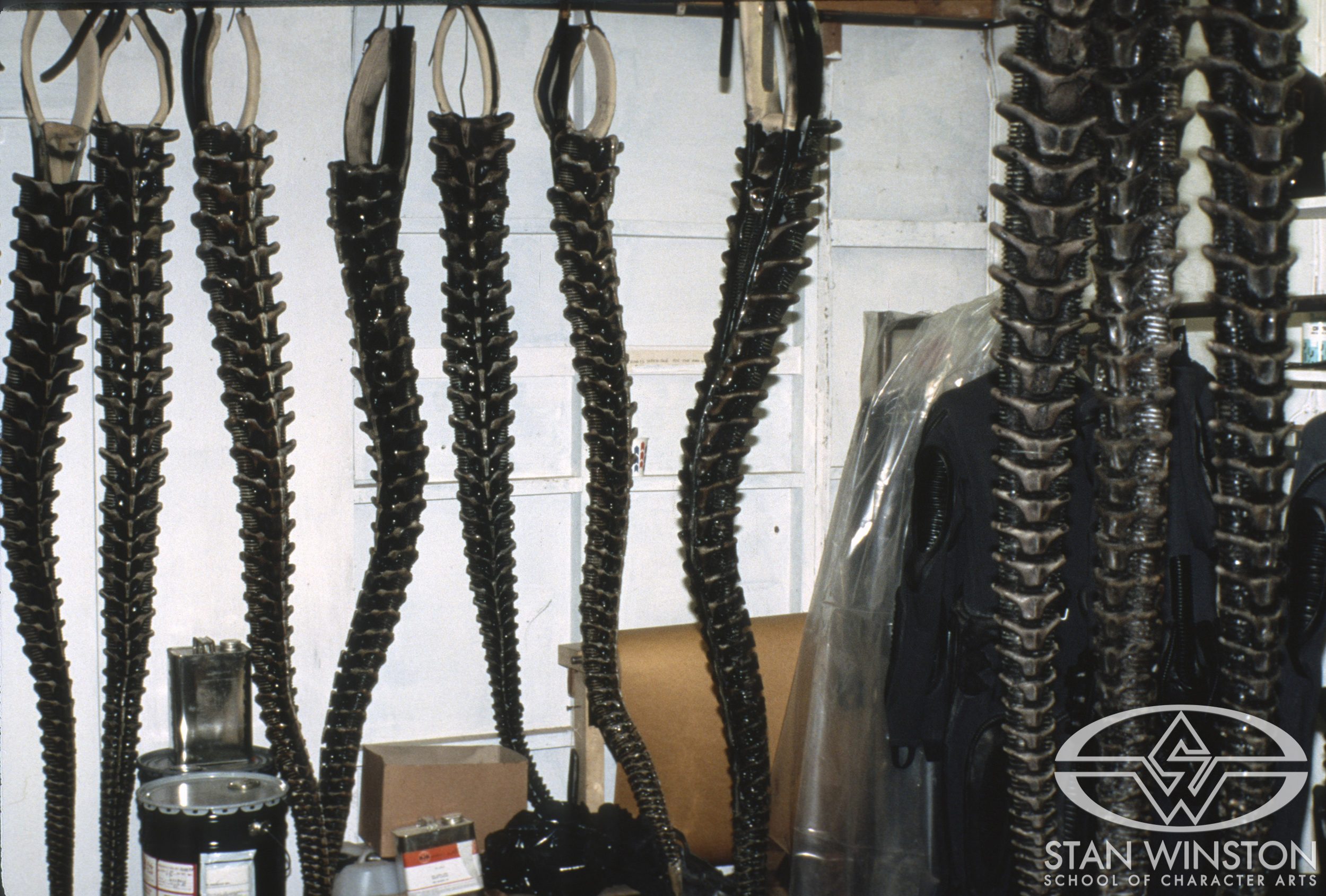 Hanging xenomorph tails.