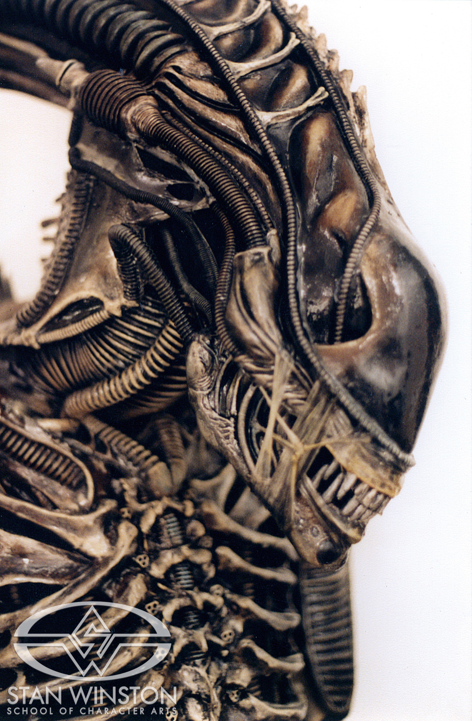 The hero alien drone head and torso.